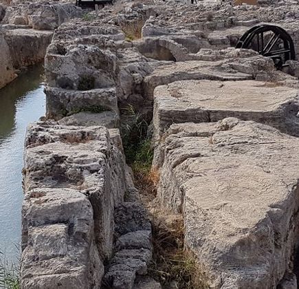 Taninim Nature Reserve 1