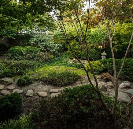 Roji Japanese Gardens 1