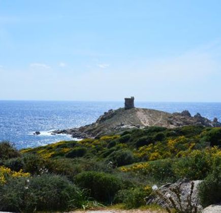 Torra d'Omigna 1