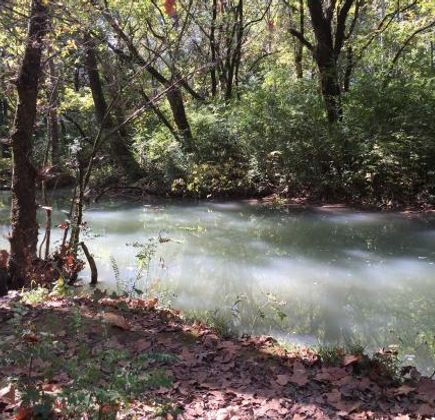 Buck Creek Trail 1