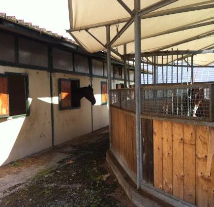 Centro Ippico il Torrione 1