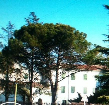 Villa Metz, Marzola 1