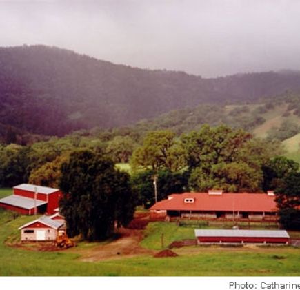 Ridgewood Ranch 1