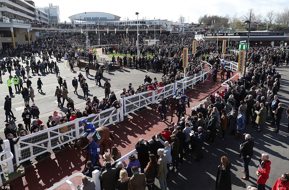 Cheltenham Festival