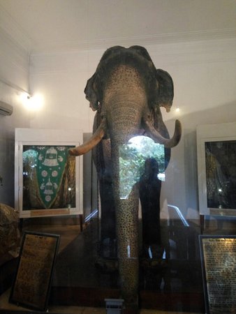 Raja Museum