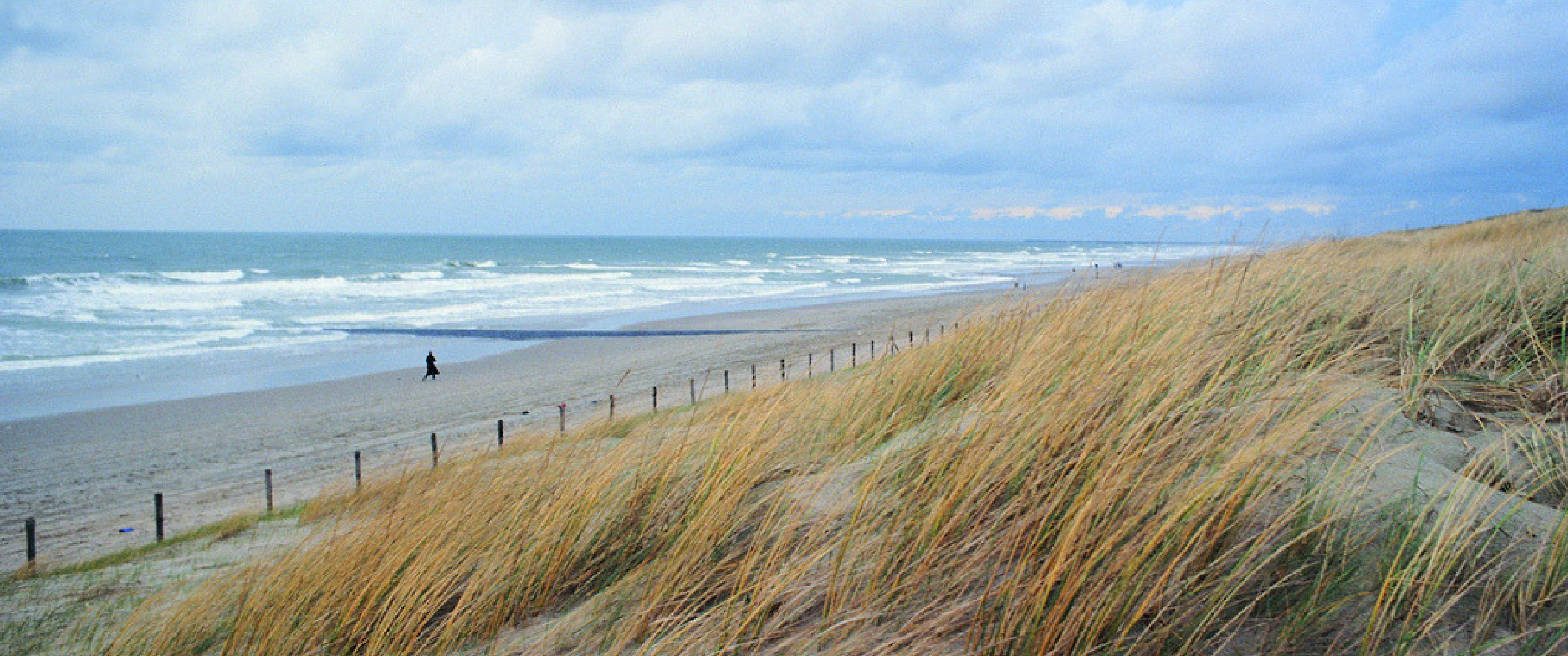 The Wadden Sea