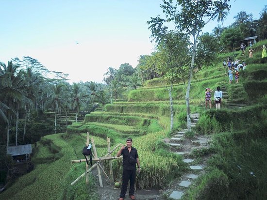 Budi Catura Bali Tour