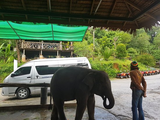Seaview Elephant Camp