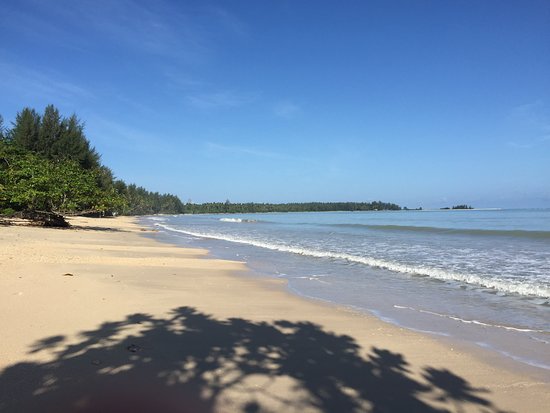 Coconut Beach