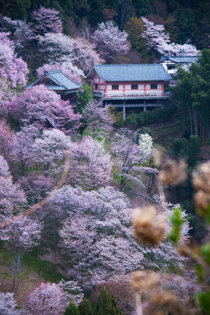 Yoshino