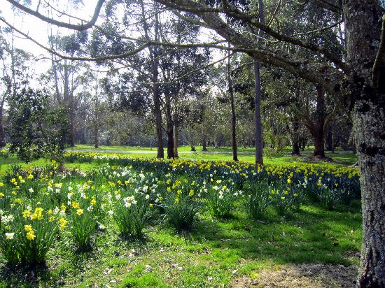 John F. Kennedy Arboretum