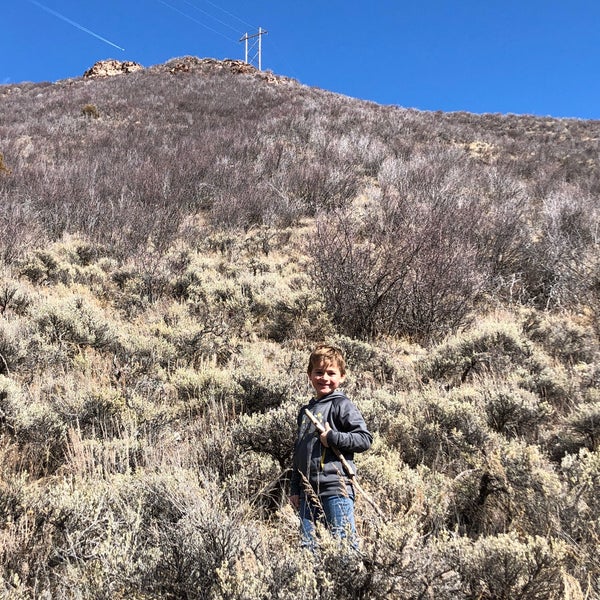 Walking Mountains Science Center