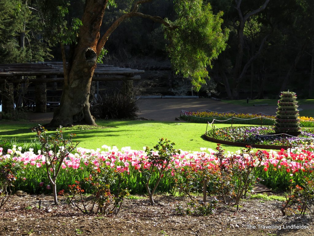 Araluen Botanic Park