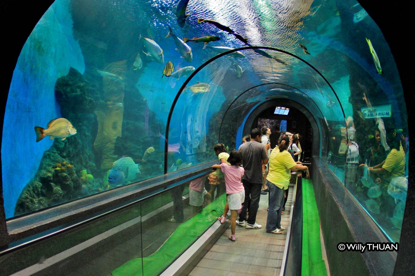 Phuket Aquarium