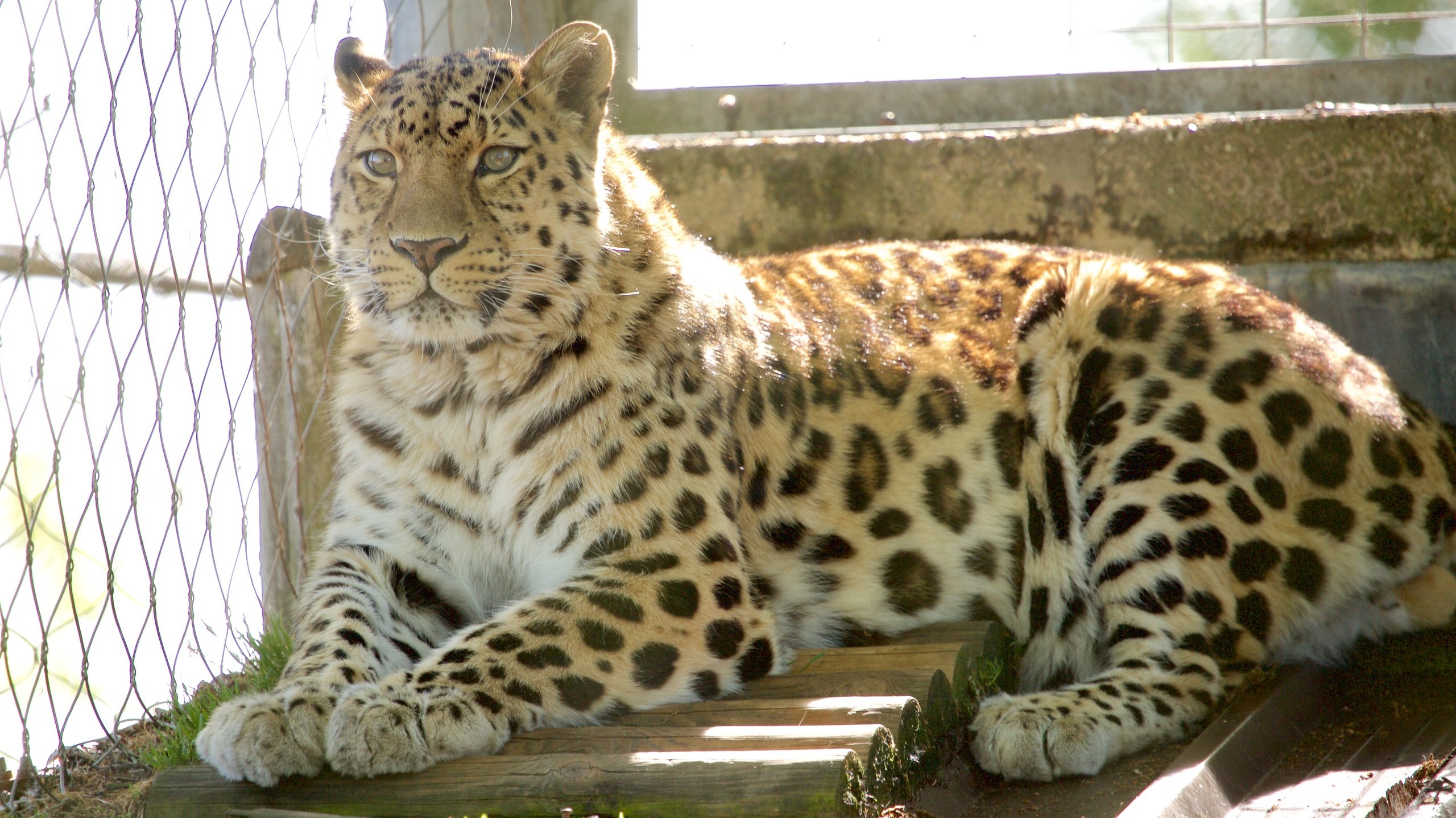 Marwell Zoo