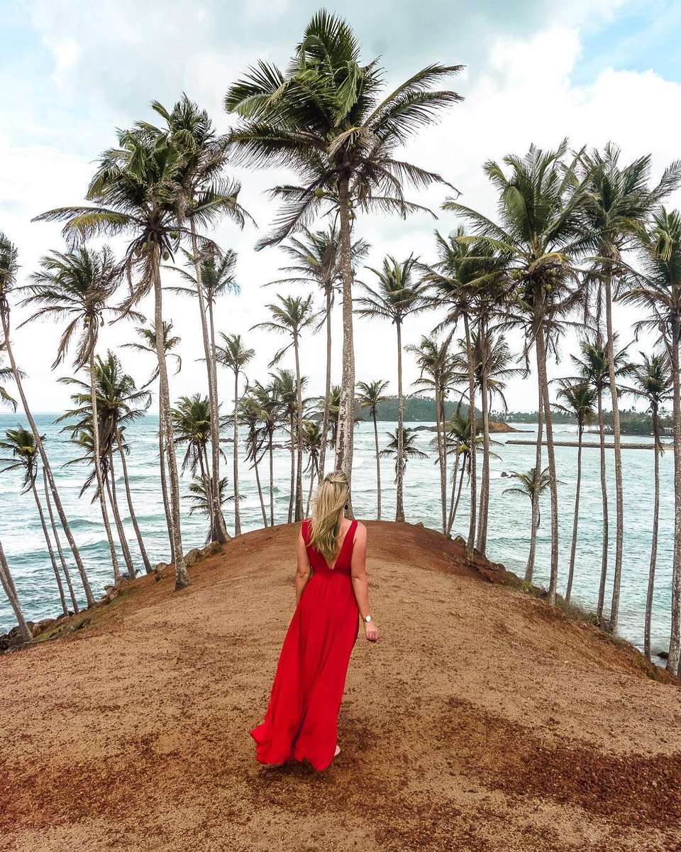 Coconut Tree Hill