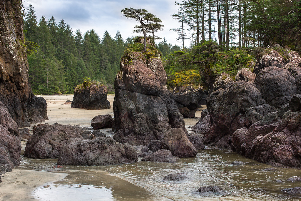 Cape Scott Provincial Park