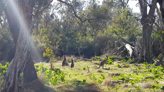Tuart Forest National Park