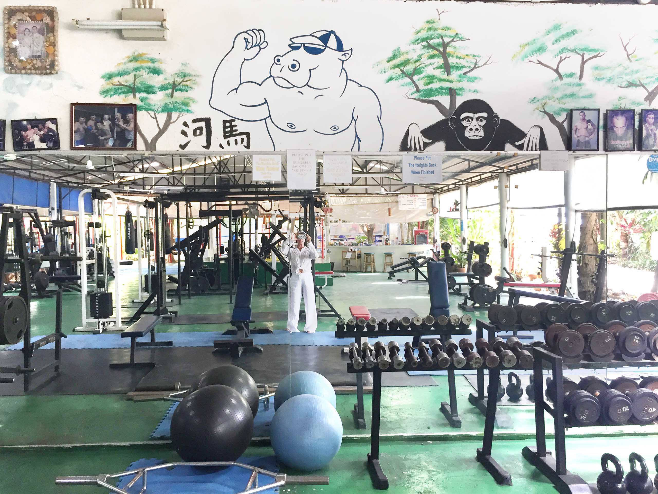 Hippo's Gym