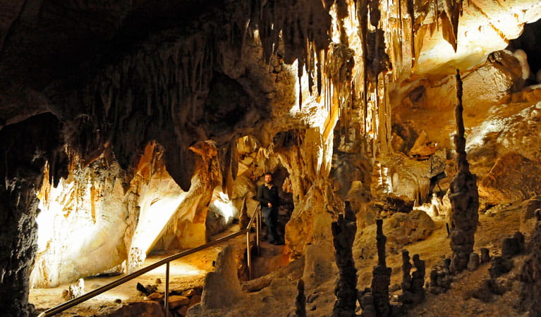 Wombeyan Caves