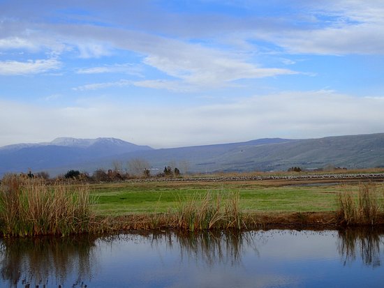 Hula Nature Reserve