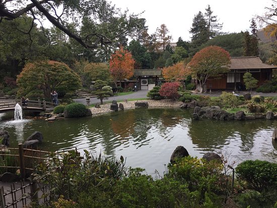 The San Mateo Japanese Garden