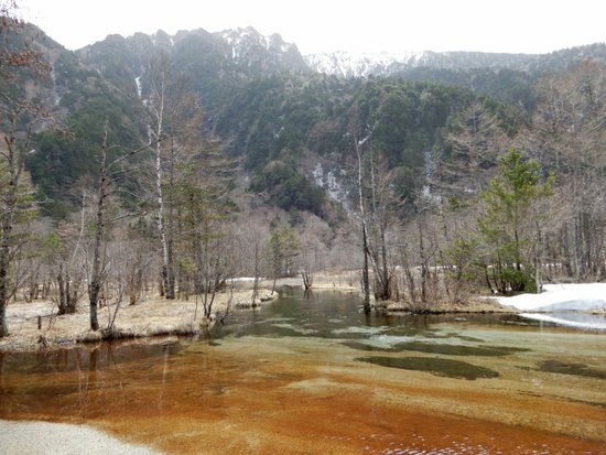 Pond Tashiro