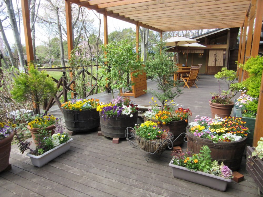 Floral Garden Obuse