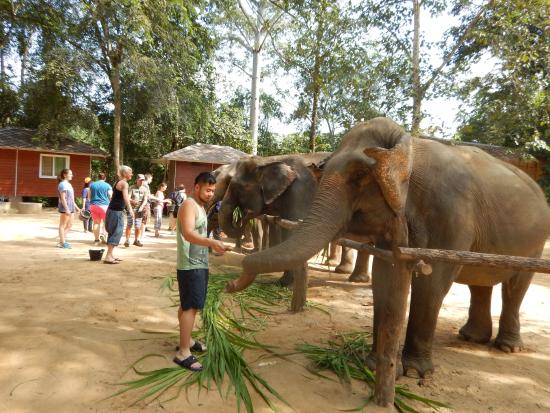 Elephant Nature Park