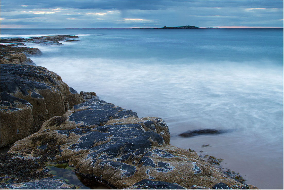 Farne Islands