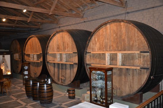Bodega La Rural Wine Museum