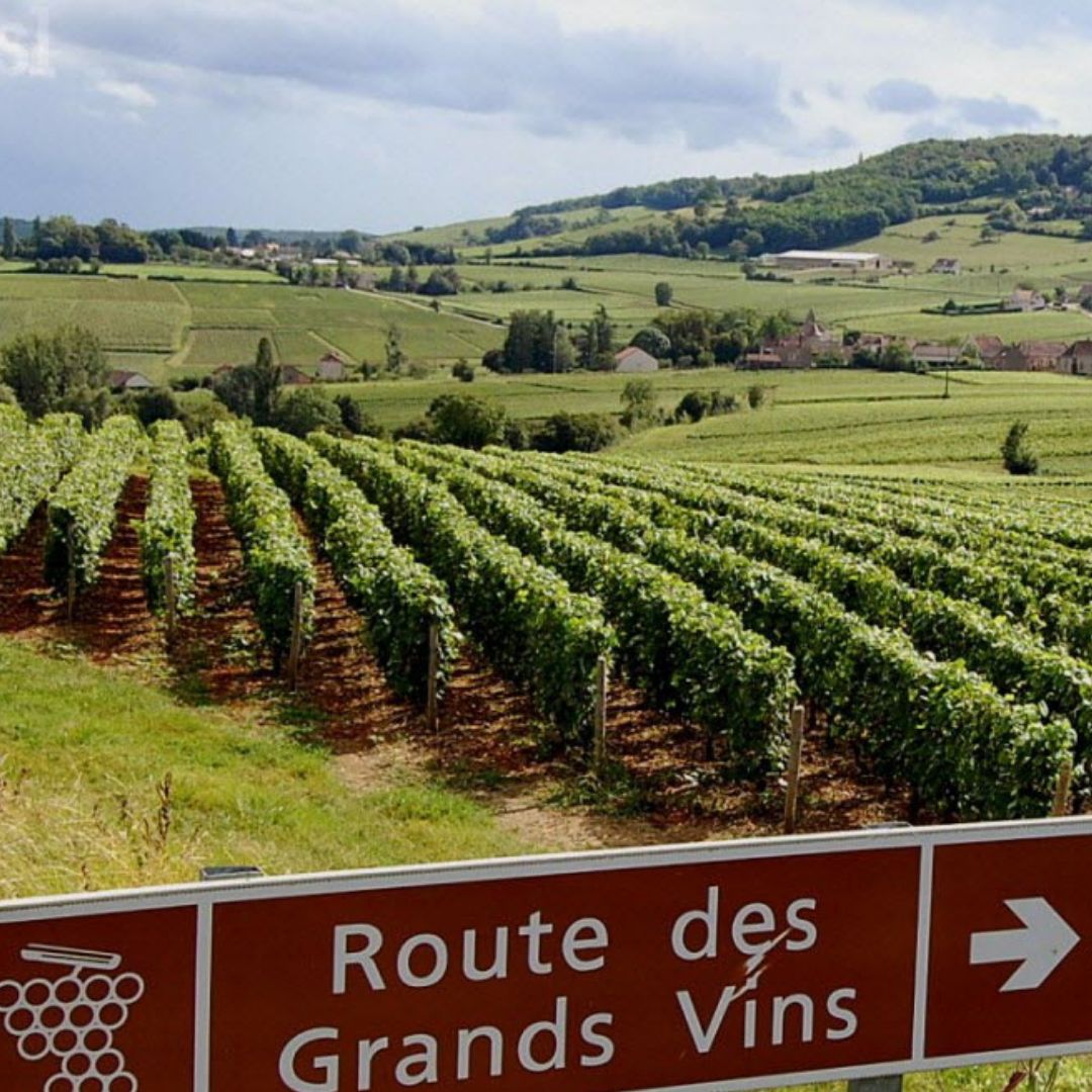Route des Vins