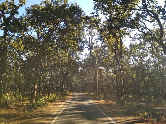 Netarhat (Queen of Chotanagpur)