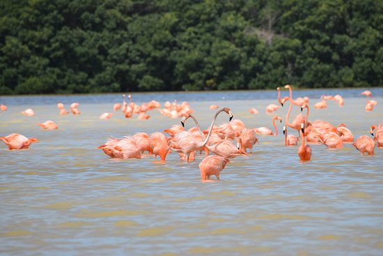 Celestun Wildlife Refuge