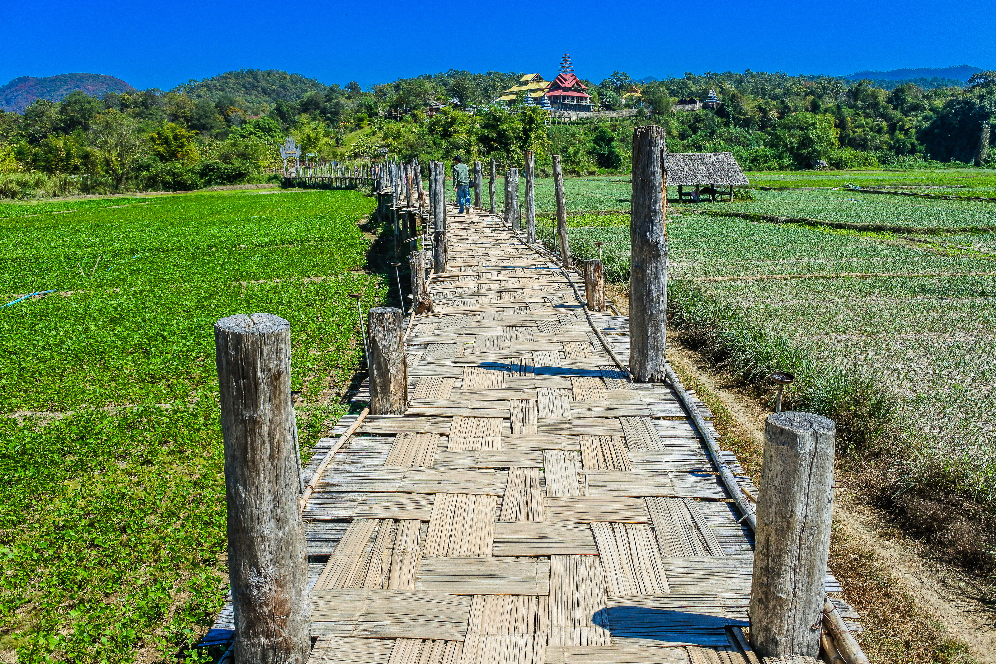 Sutongpe Bridge