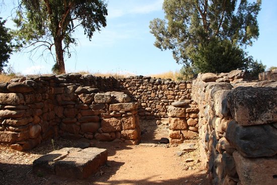 Tel Dan