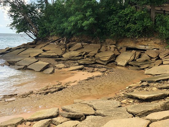 Fossil Shell Beach