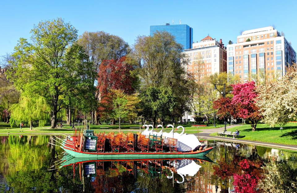 Boston Public Garden