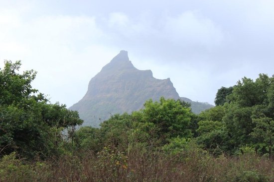Tung Fort