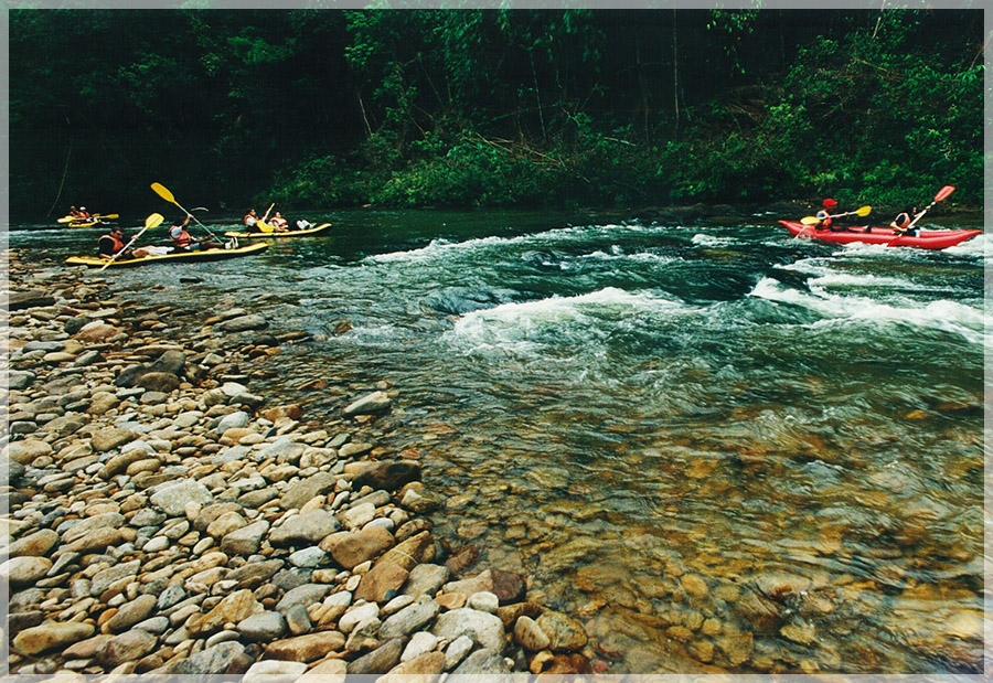Endau Rompin National Park