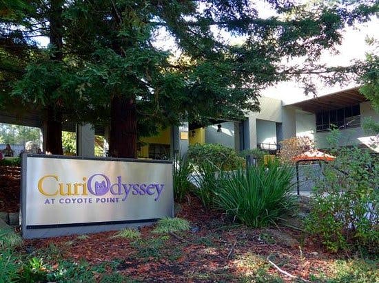 CuriOdyssey