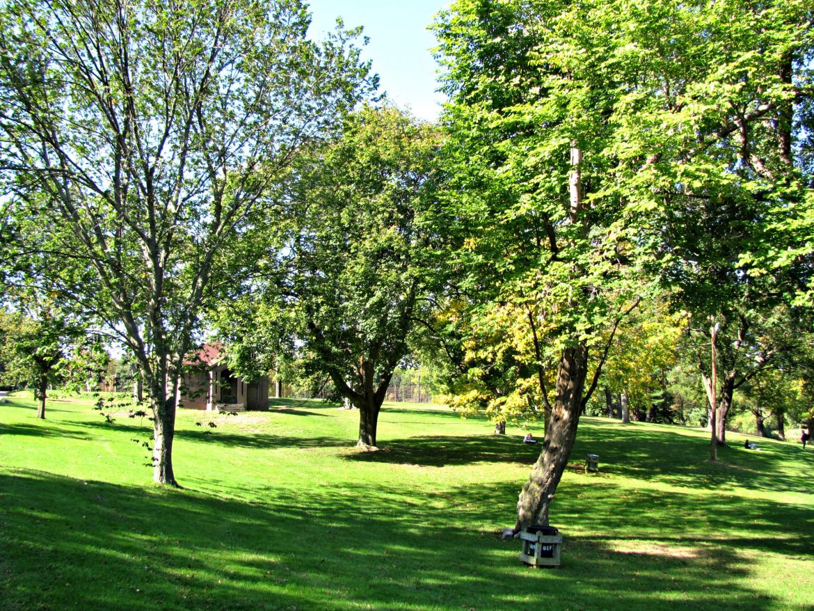Institute Park