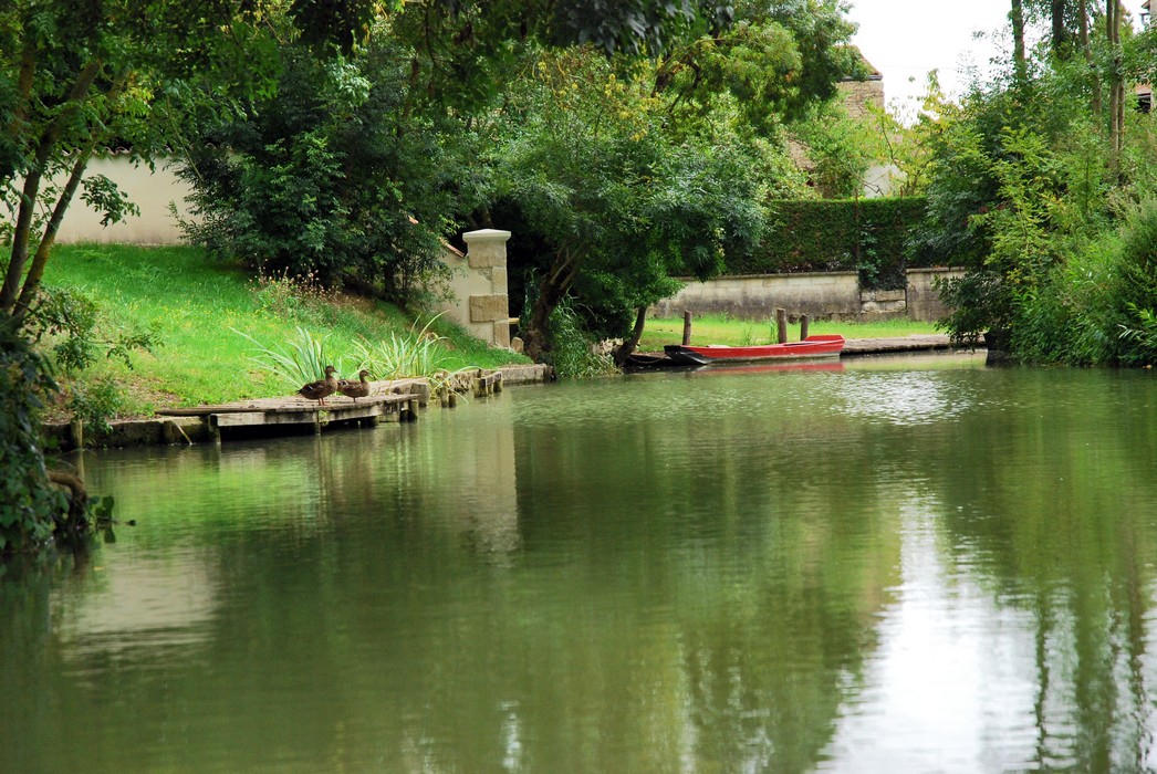Les Oiseaux du Marais Poitevin
